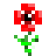BitPoppy